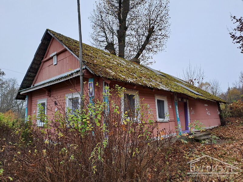 Продается дом в деревне, рядом Раков - 420039, фото 1